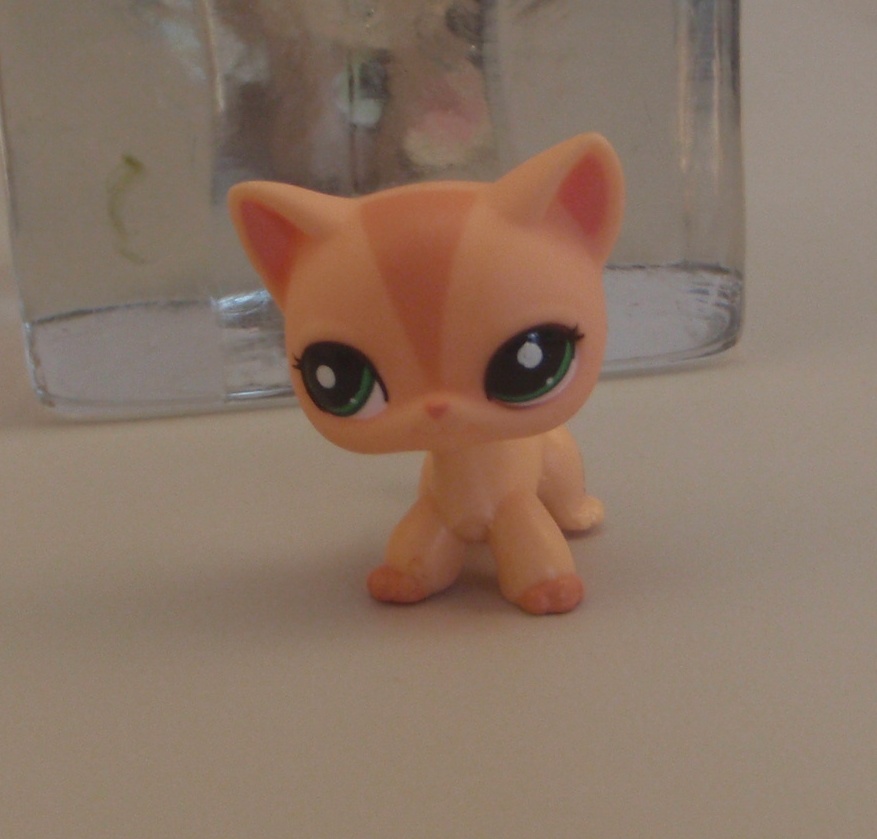 Littlest Pet Shop LPS 1764 Orange European Cat w/Green Eyes KC's Attic