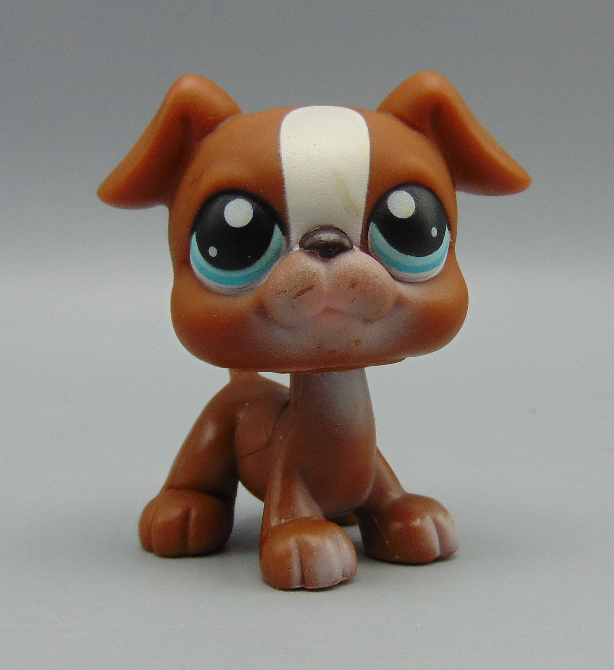 lps boxer dog